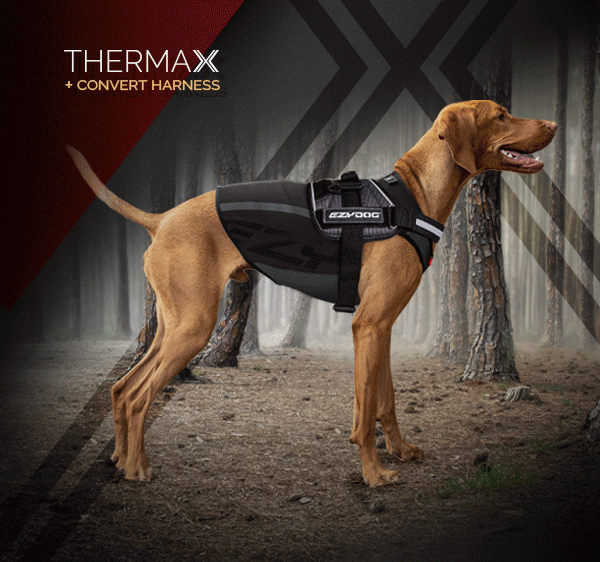 EzyDog Thermax Vest kutyamellény